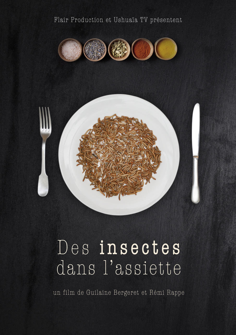 Des insectes dans l’assiette